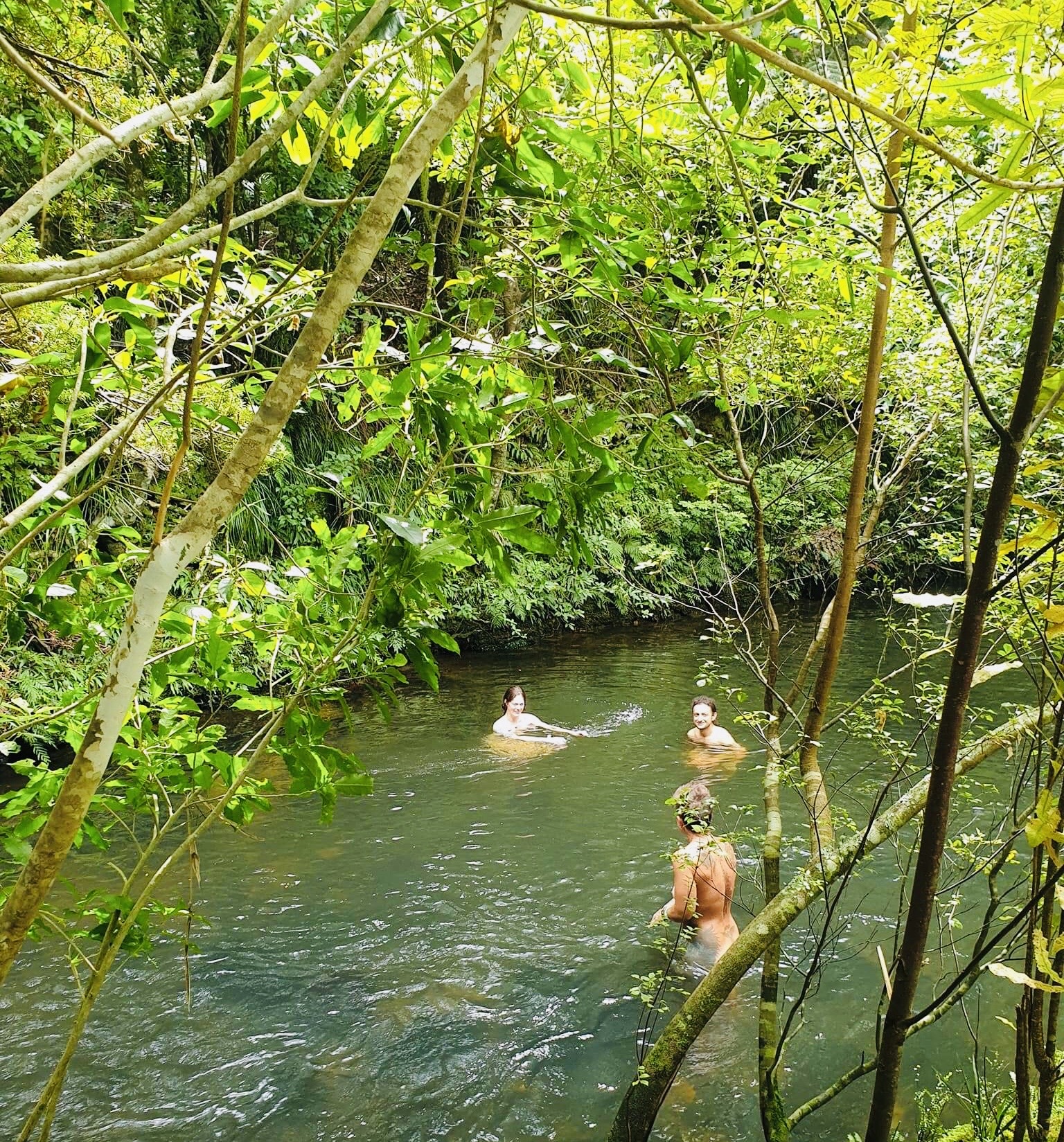 Pure Nature Wonderland in Paradise Valley - private & healing - rejuvenating photo 1
