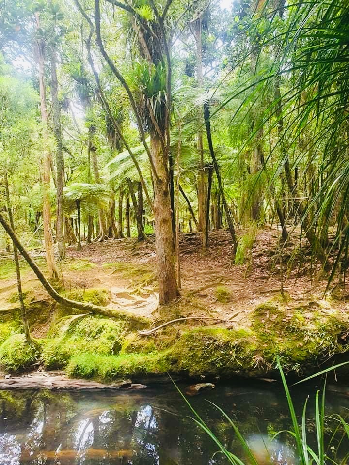 Pure Nature Wonderland in Paradise Valley - private & healing - rejuvenating photo 2
