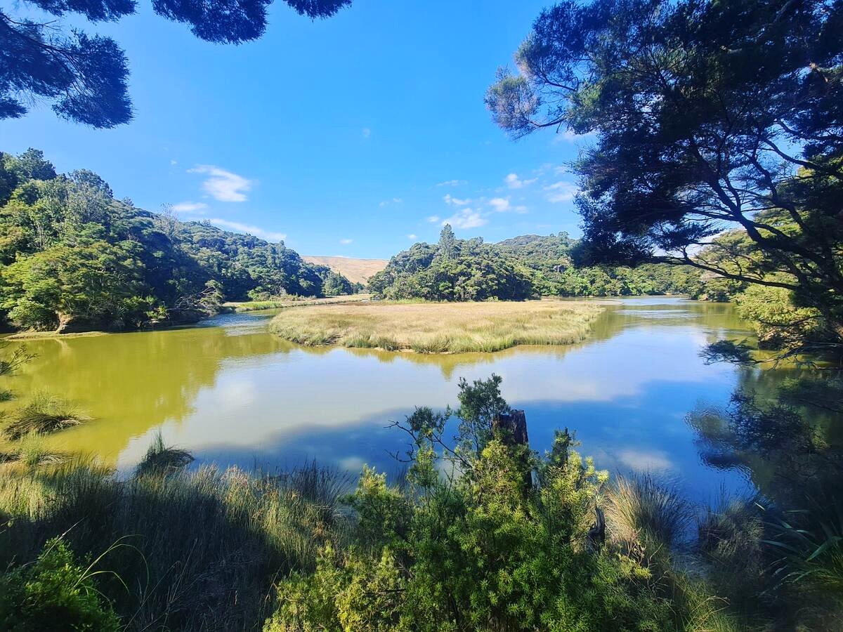 Camp or park up at Hakea photo 4