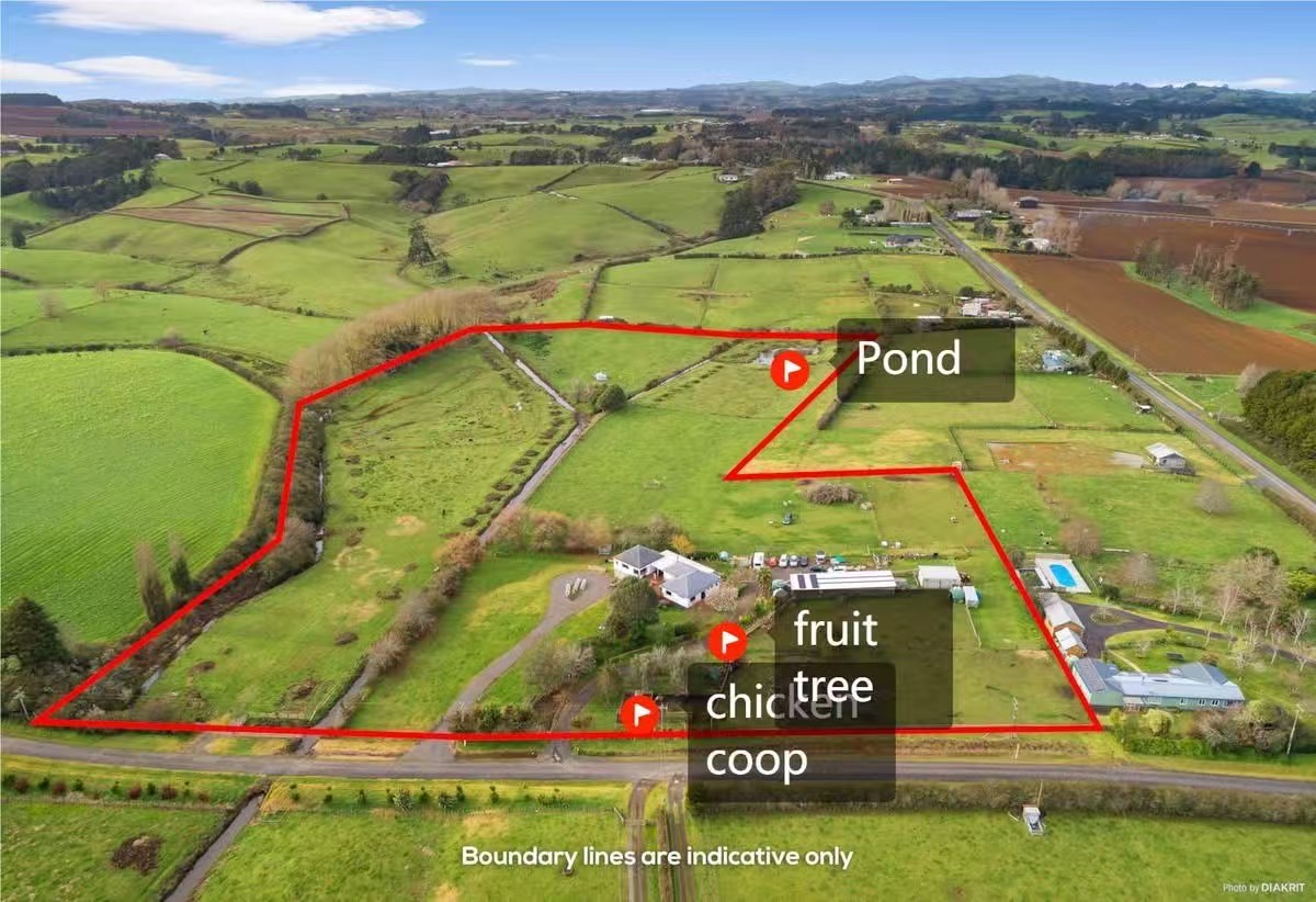 Nature Nest Farm Stay – South Auckland photo 1