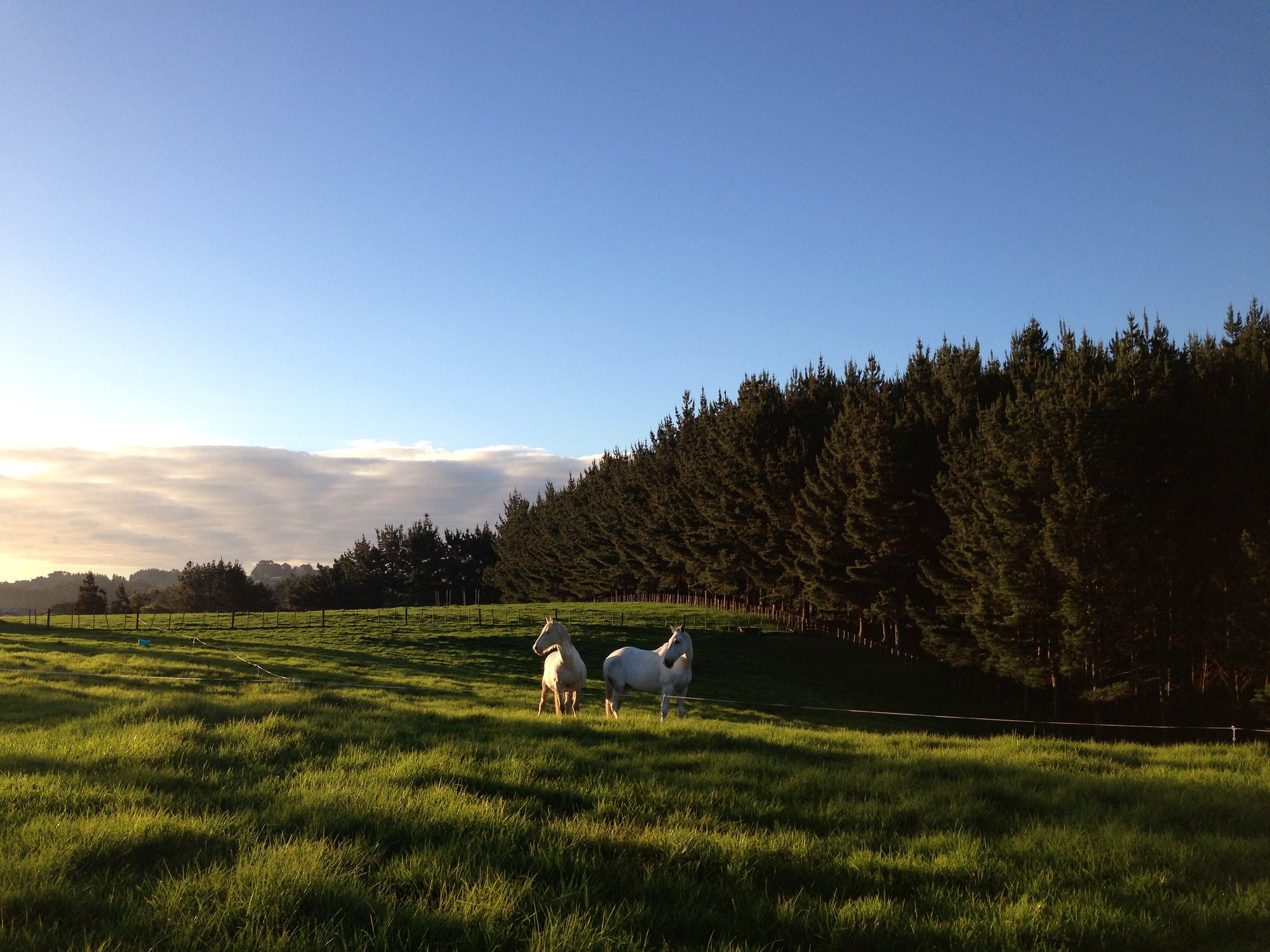 Spare room with private bathroom or park up photo 4