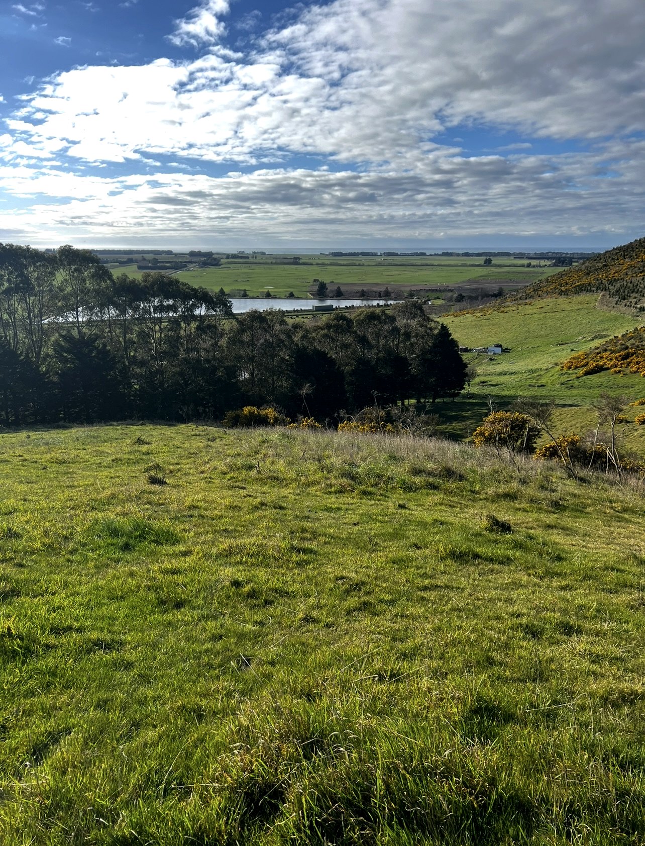 paddock with hill walk to see mountains and the ocean photo 3