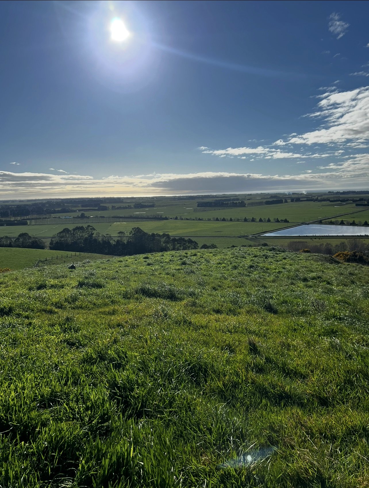 paddock with hill walk to see mountains and the ocean photo 4