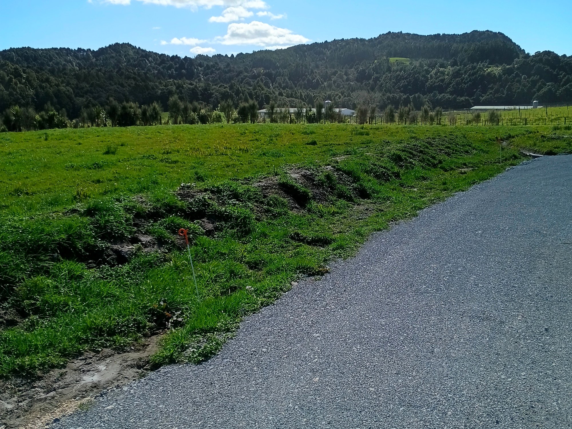 Quiet paddock with native Bush views