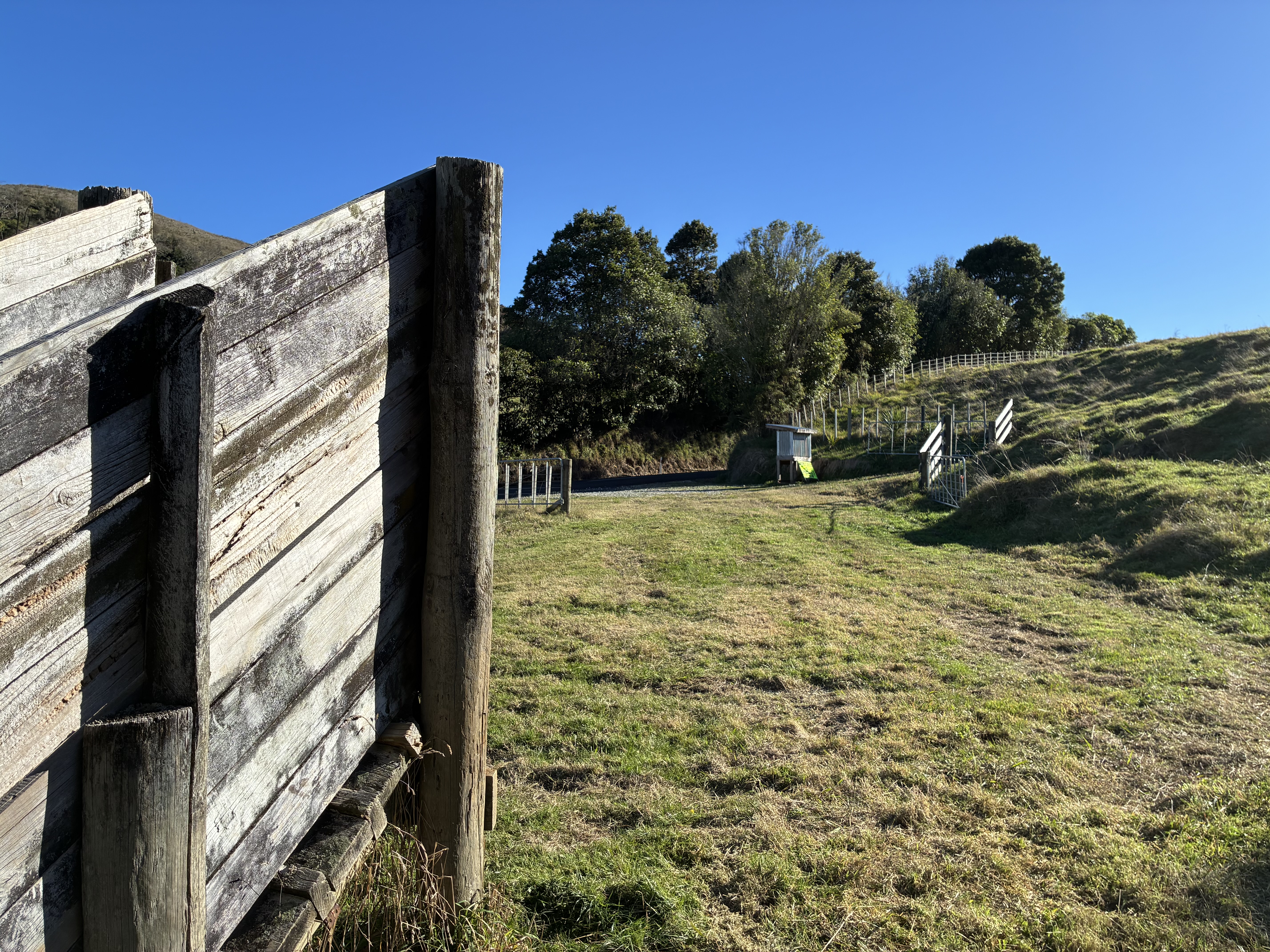 Quiet Waitomo stockyard paddock photo 1