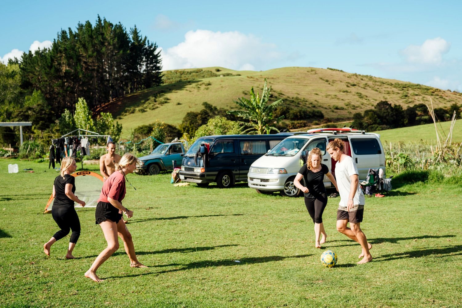 Camp or park up at The Farm, Whangaruru