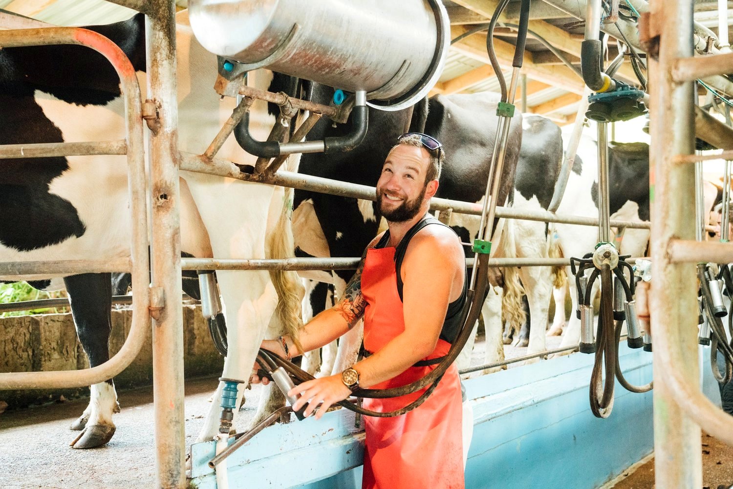 Volunteer and live at The Farm