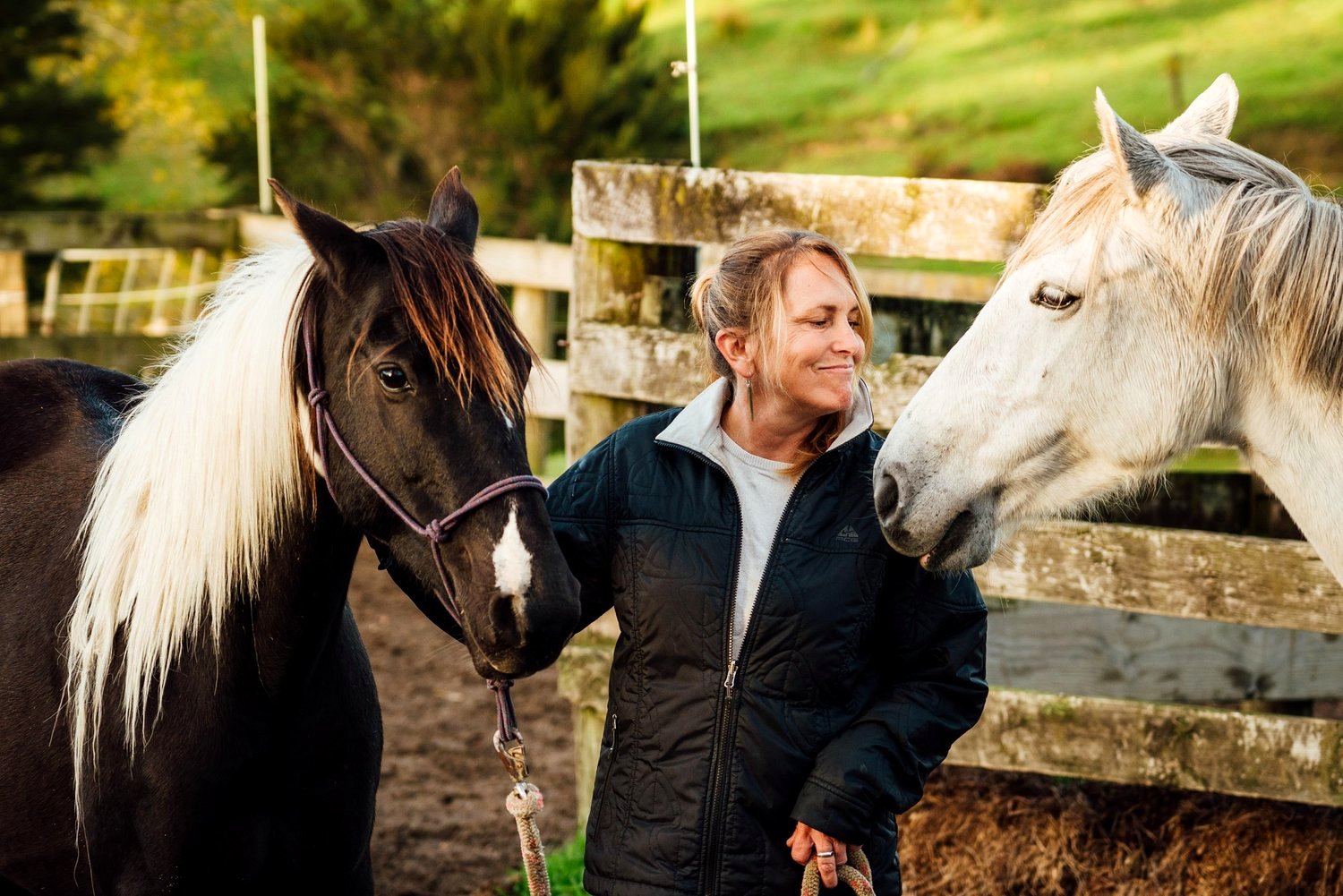 Horsemanship workshop
