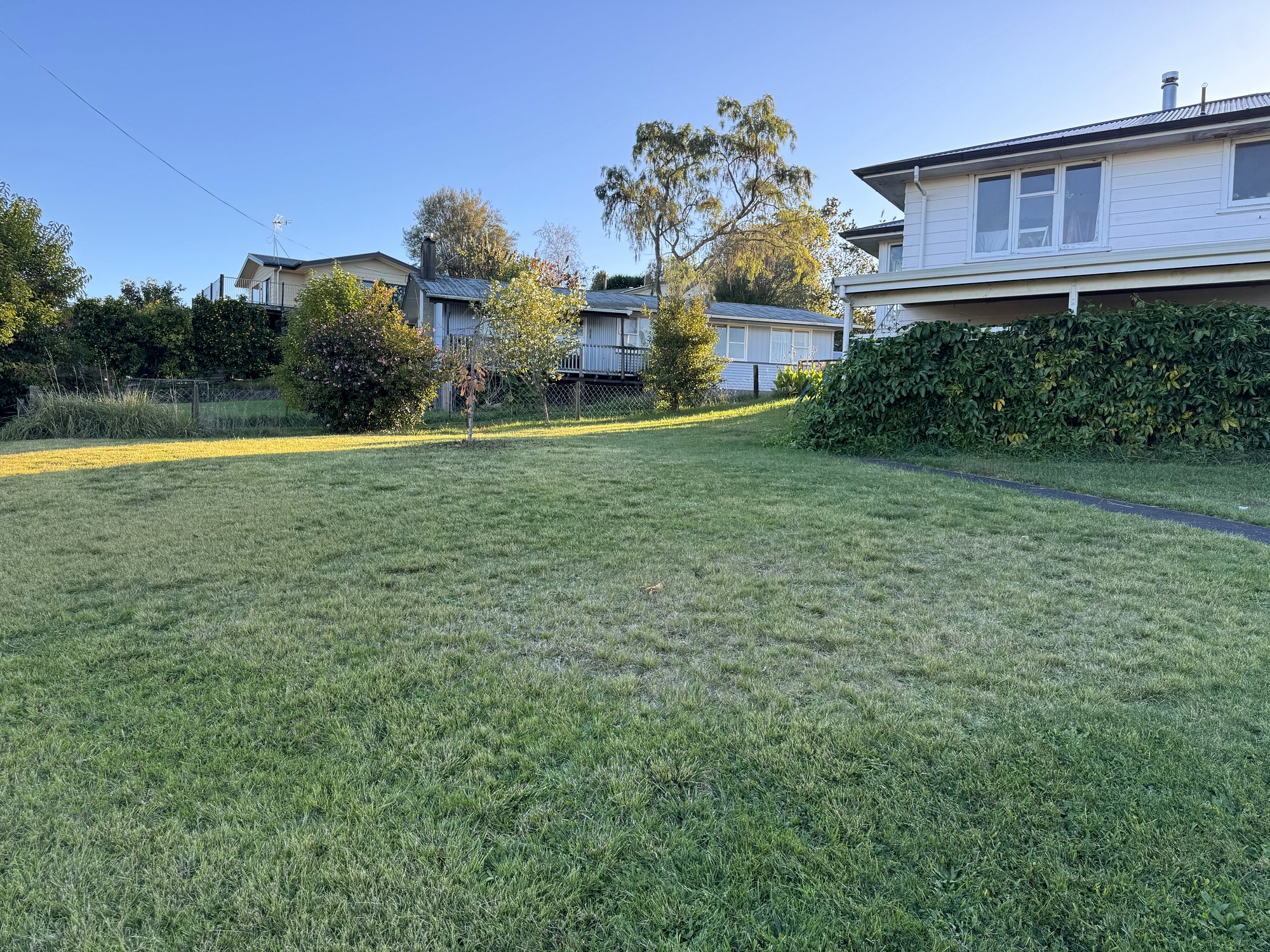 Quiet Putāruru Lawn