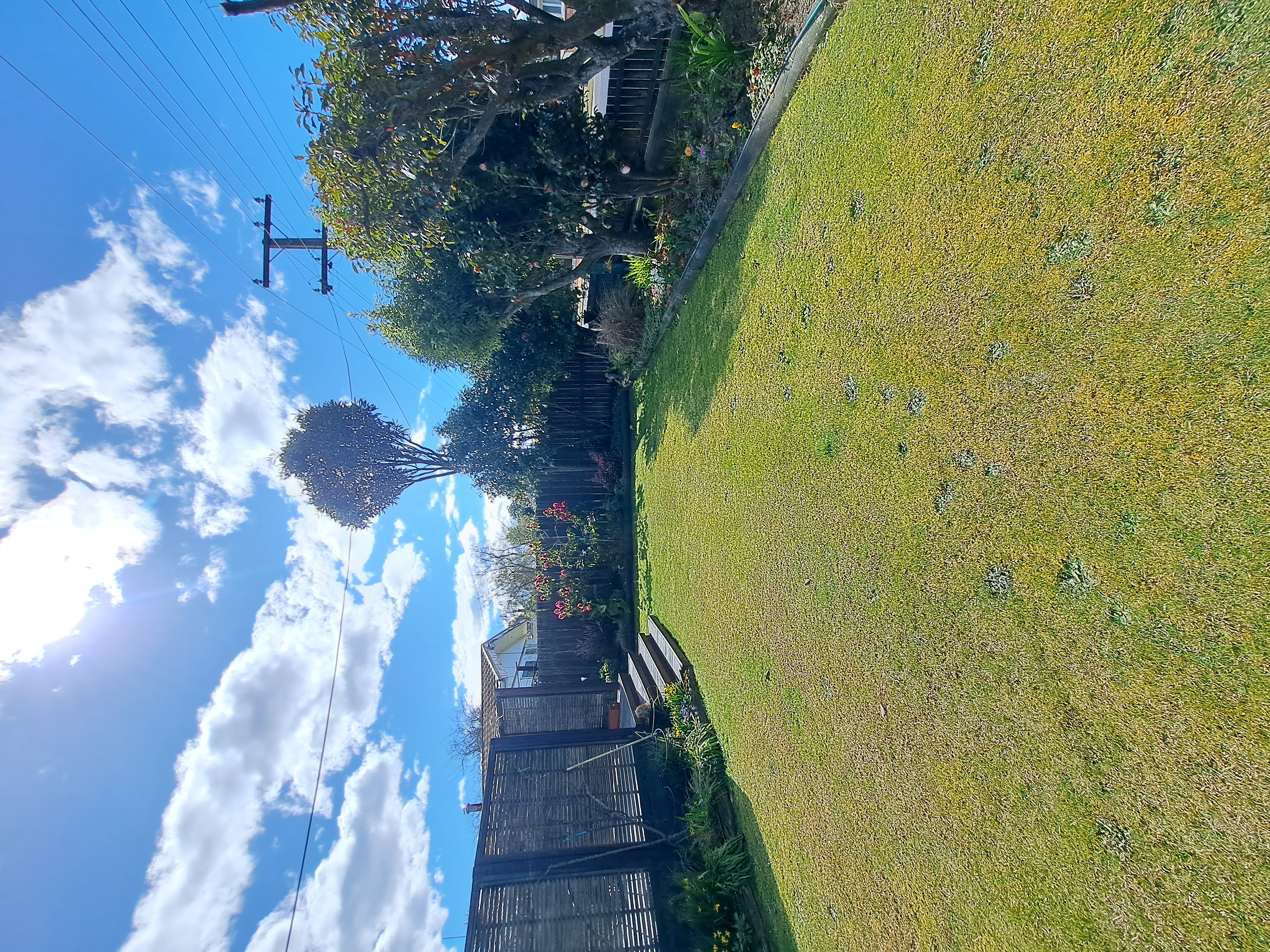Secure front yard photo 1