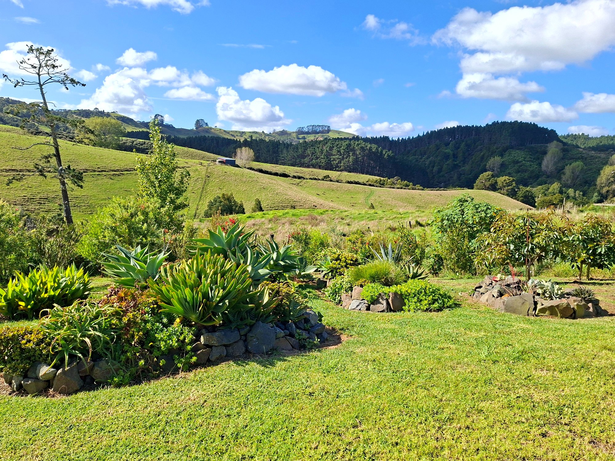 Quiet and secure lifestyle block with beautiful hill views and within easy reach of Auckland