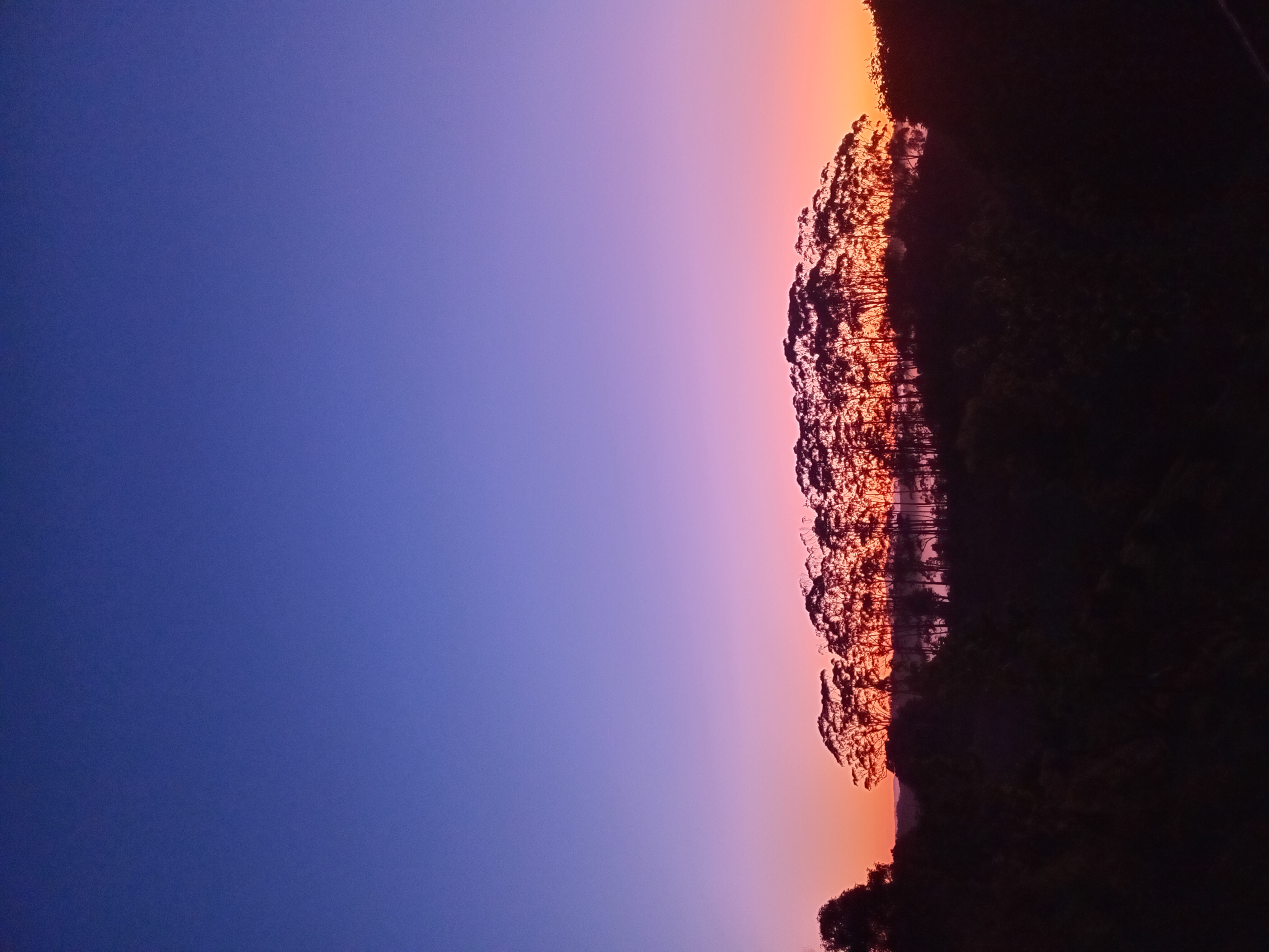 Quite secluded spot on an off grid lifestyle block. photo 1