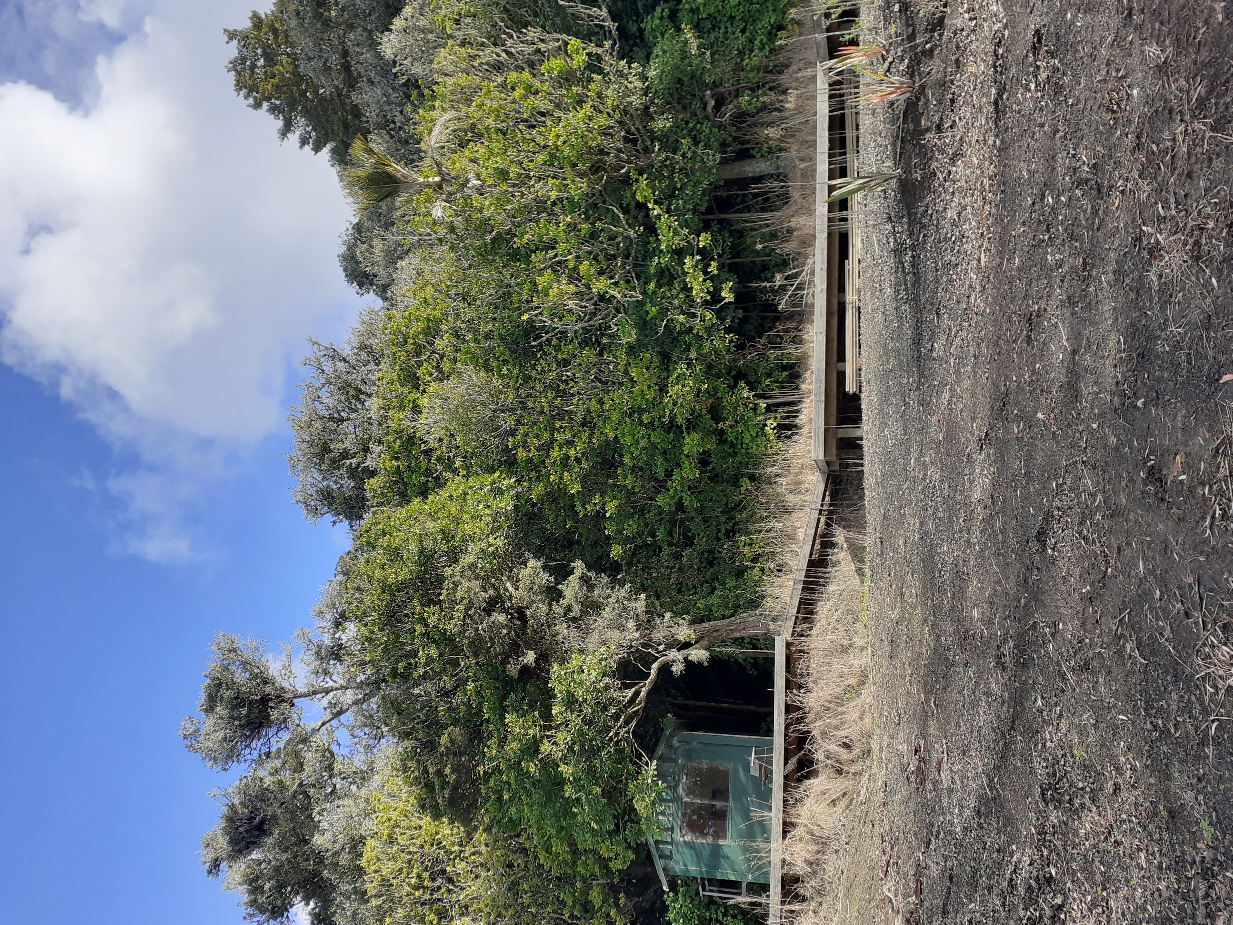 Quite secluded spot on an off grid lifestyle block. photo 2