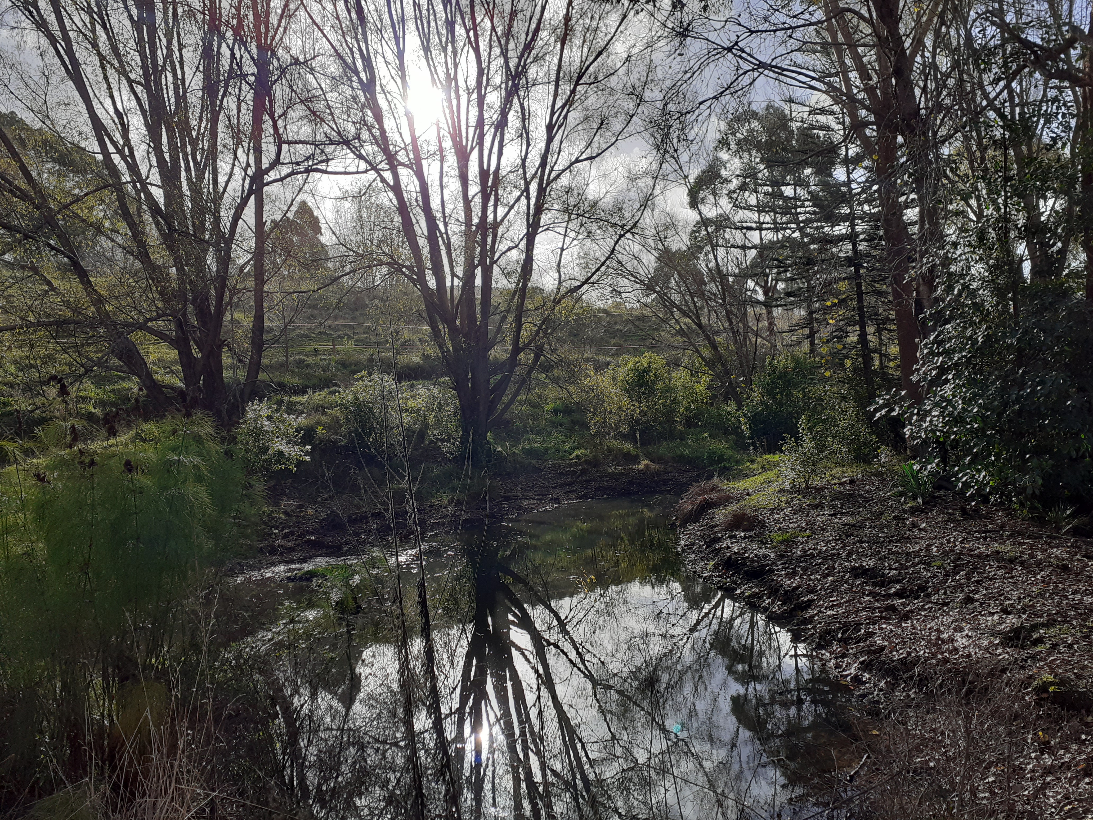 Quite secluded spot on an off grid lifestyle block. photo 3