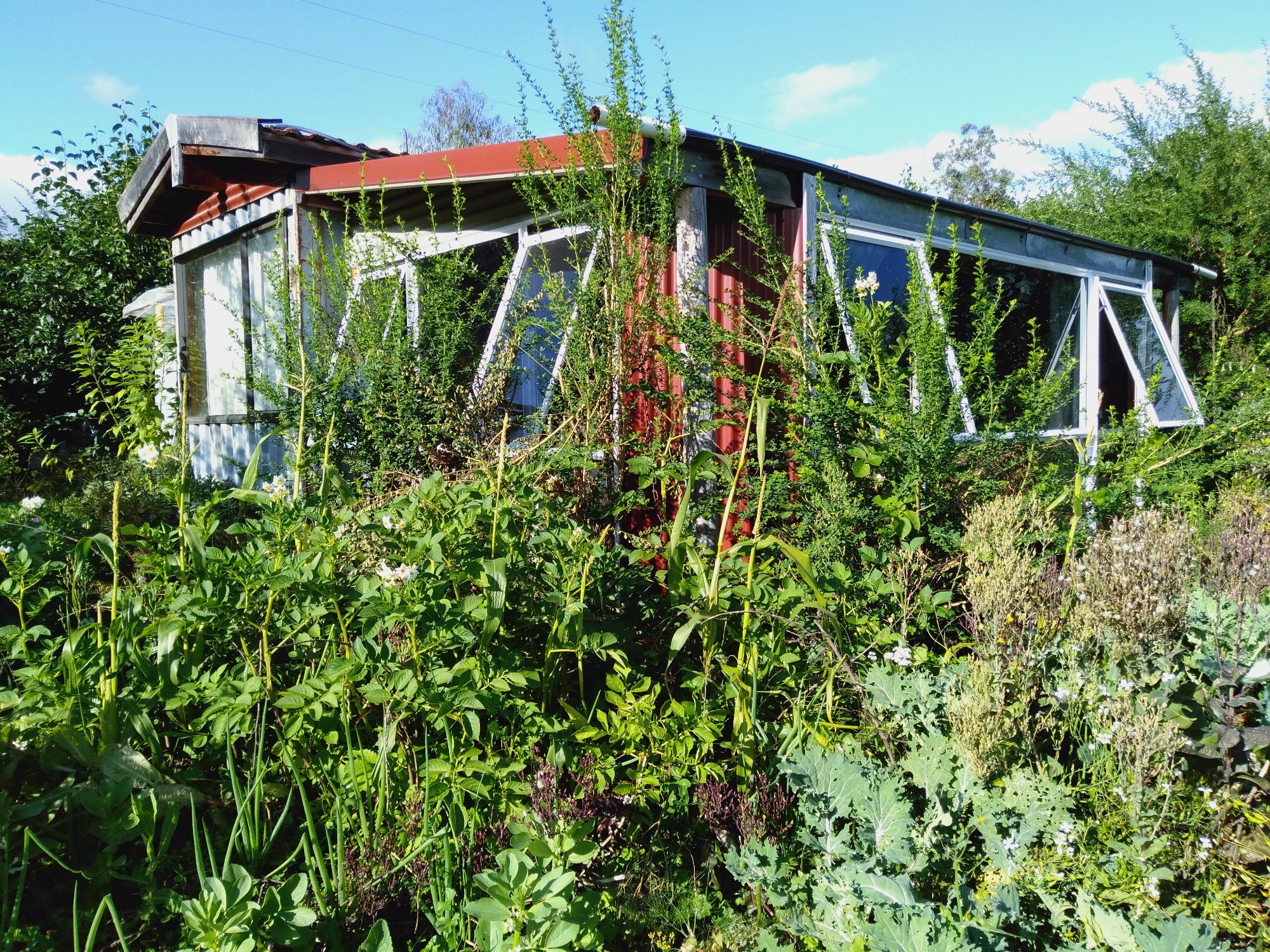 Long-Stay Rural Living - Nature, Animals & Permaculture photo 1