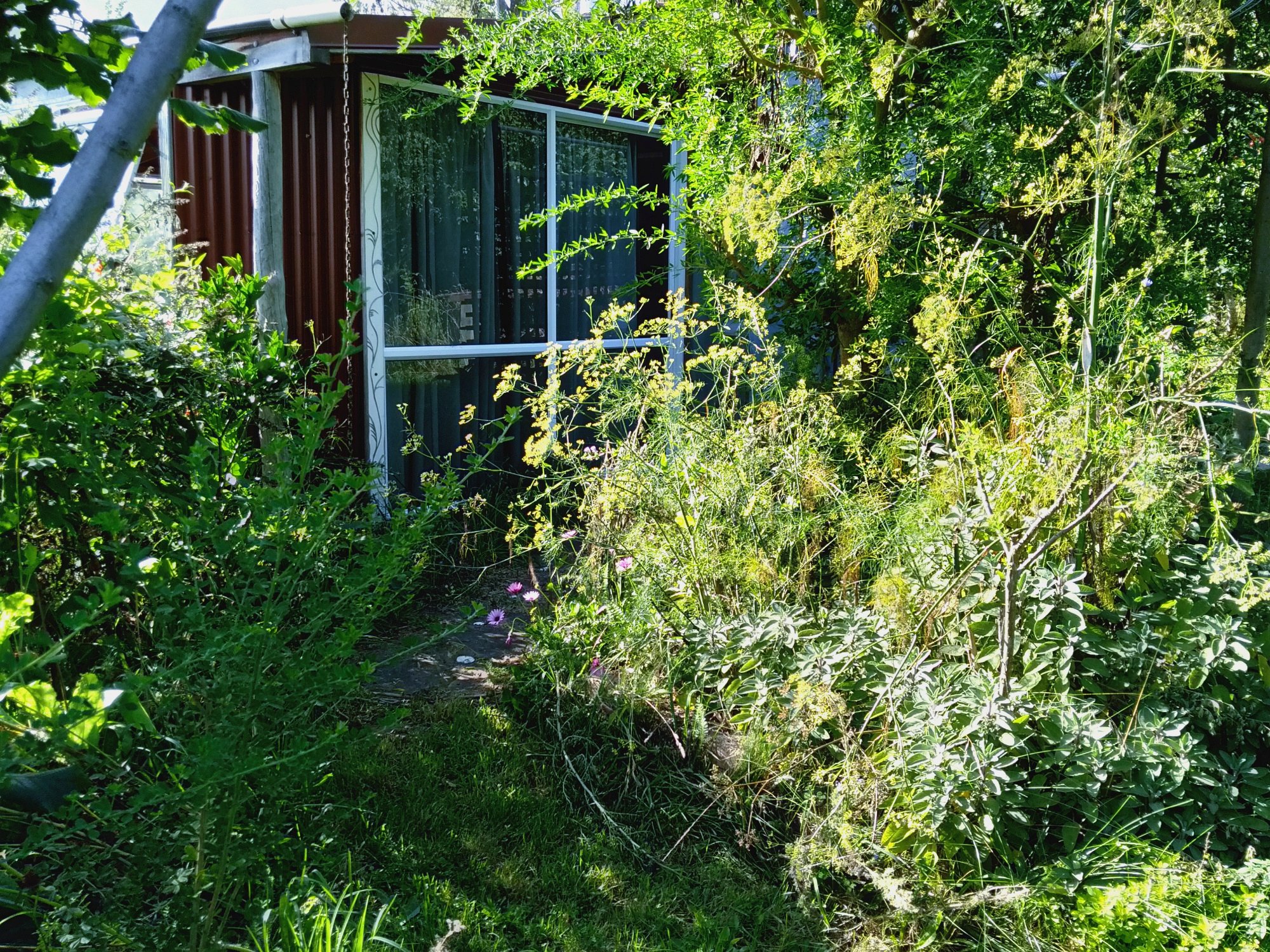 Long-Stay Rural Living - Nature, Animals & Permaculture photo 2