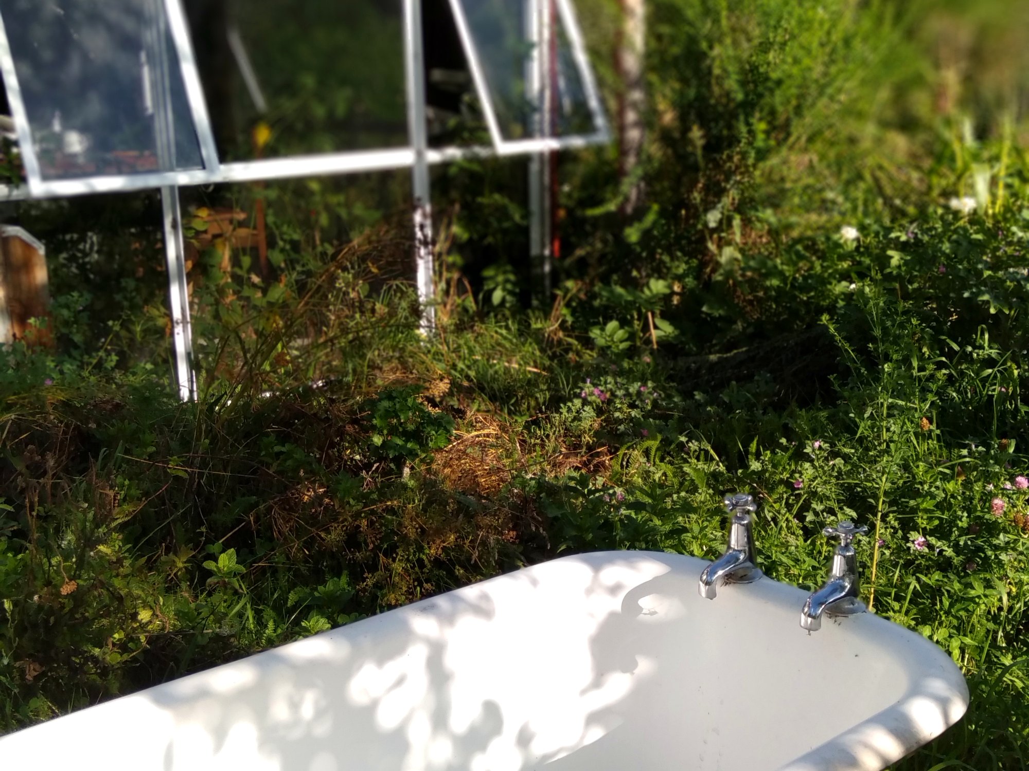 Long-Stay Rural Living - Nature, Animals & Permaculture photo 3