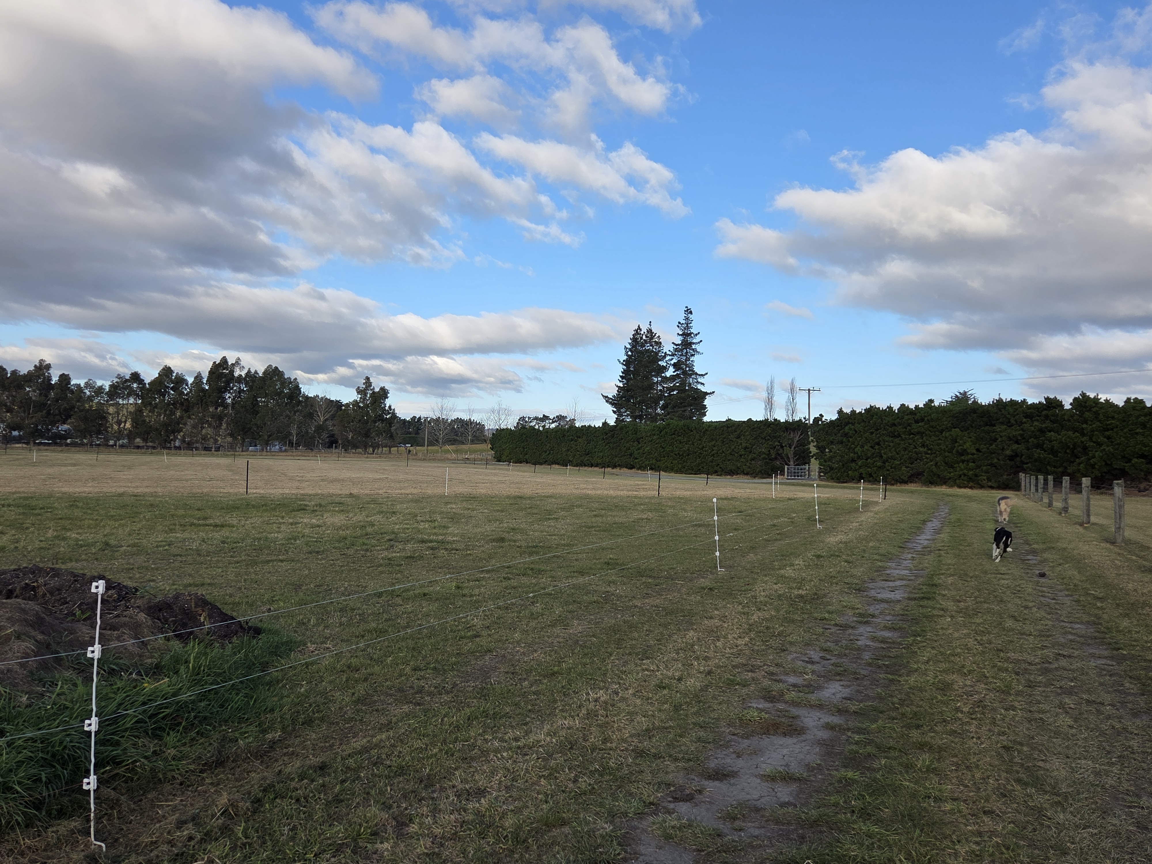Rural quiet spot between Christchurch and Hanmer Springs photo 5