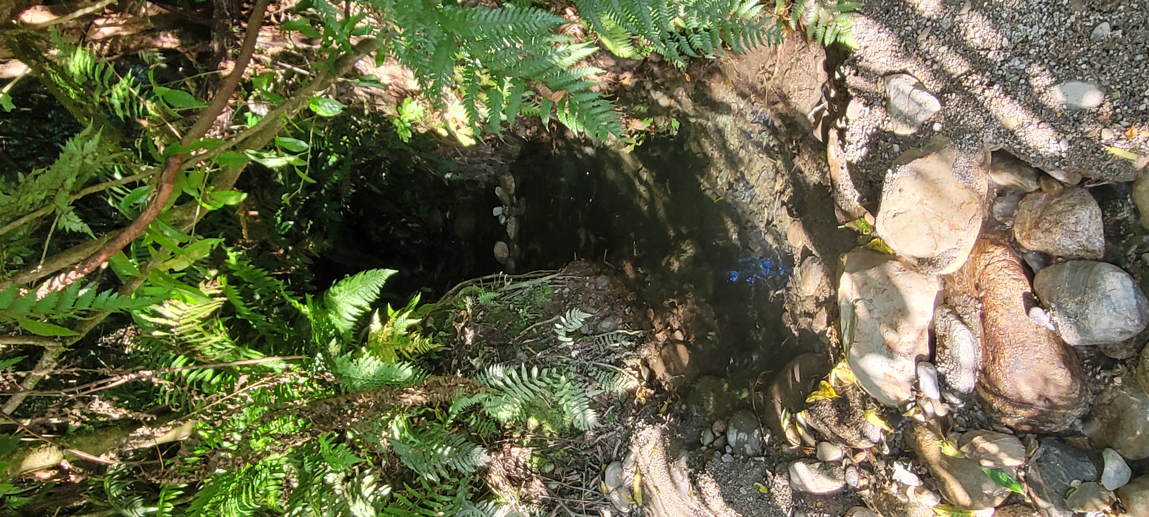 Off-grid peace and tranquility photo 4