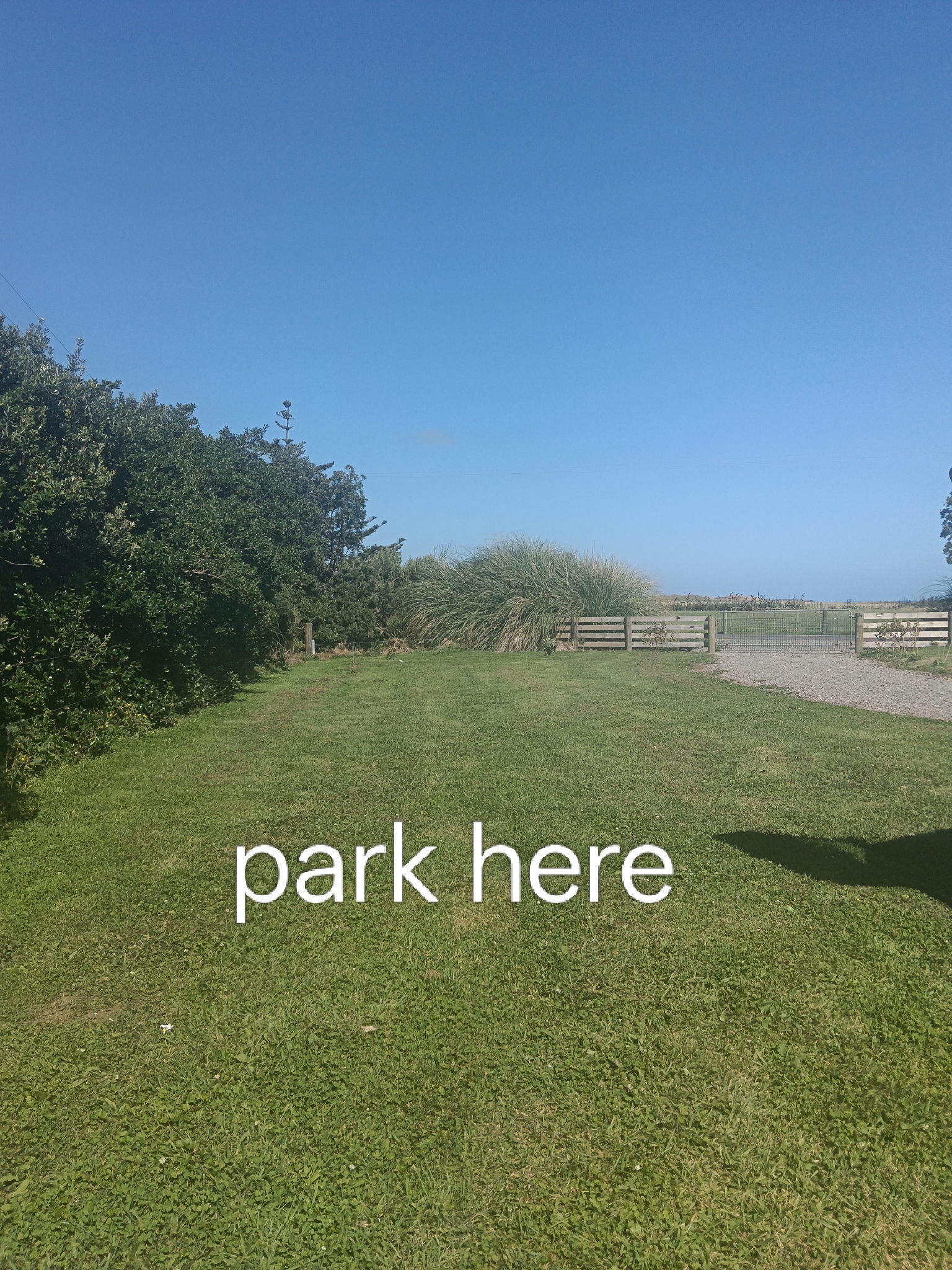 3 Fat Cows Campsite photo 3