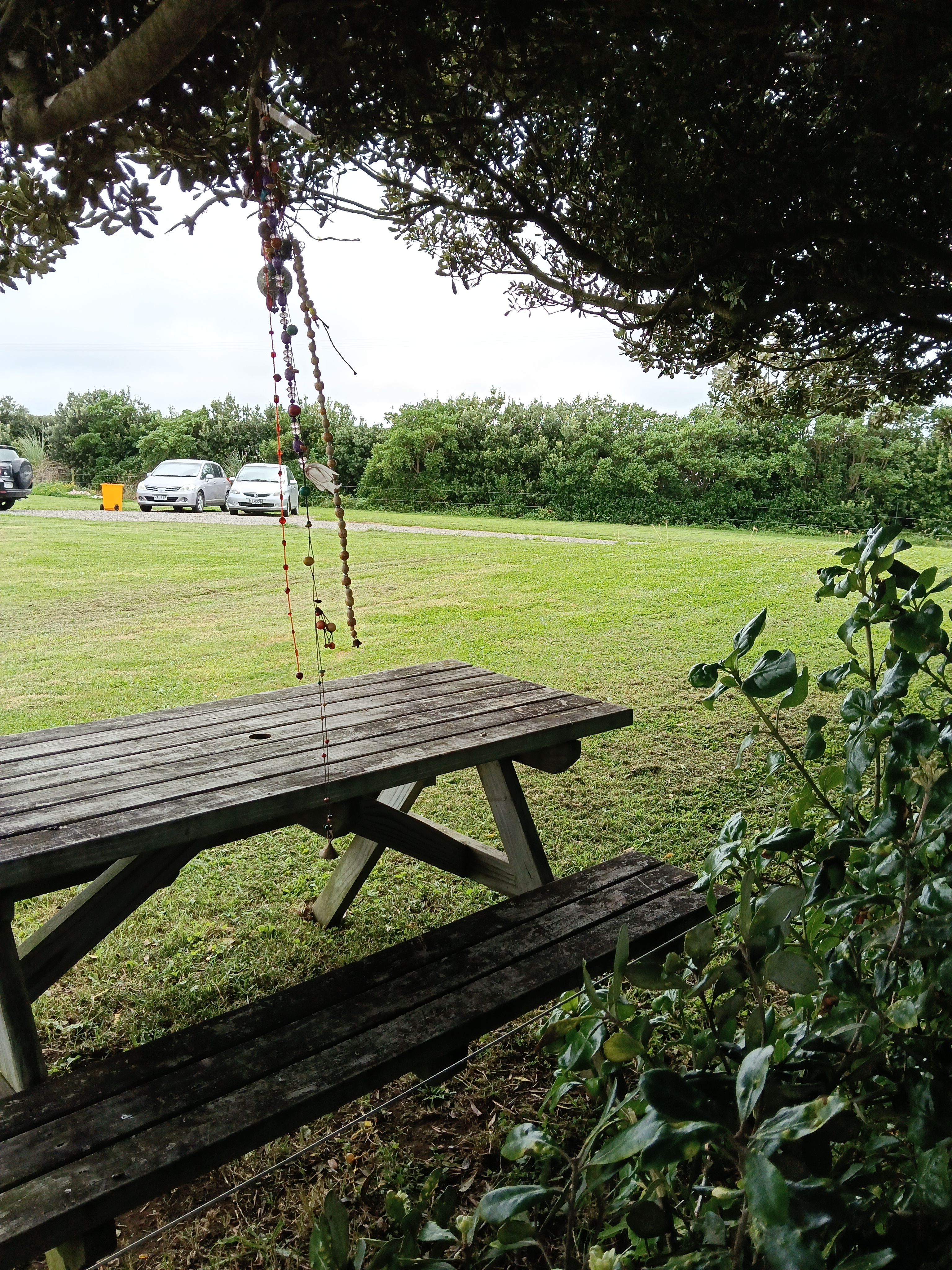 3 Fat Cows Campsite photo 5
