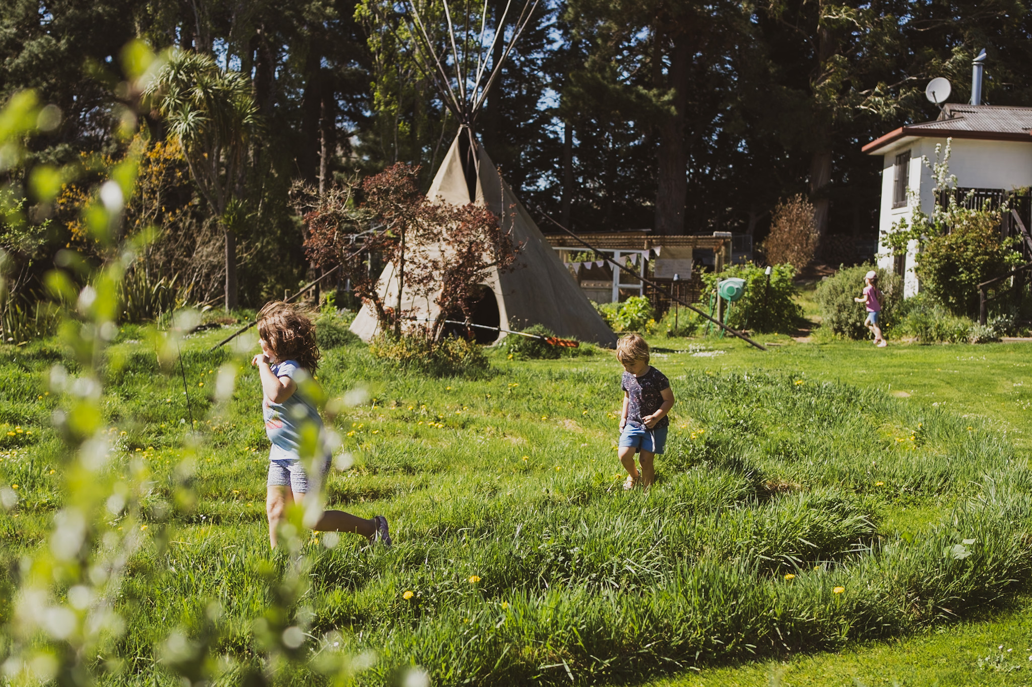 Rural Driveway Space in a Creative Organic Nature Garden