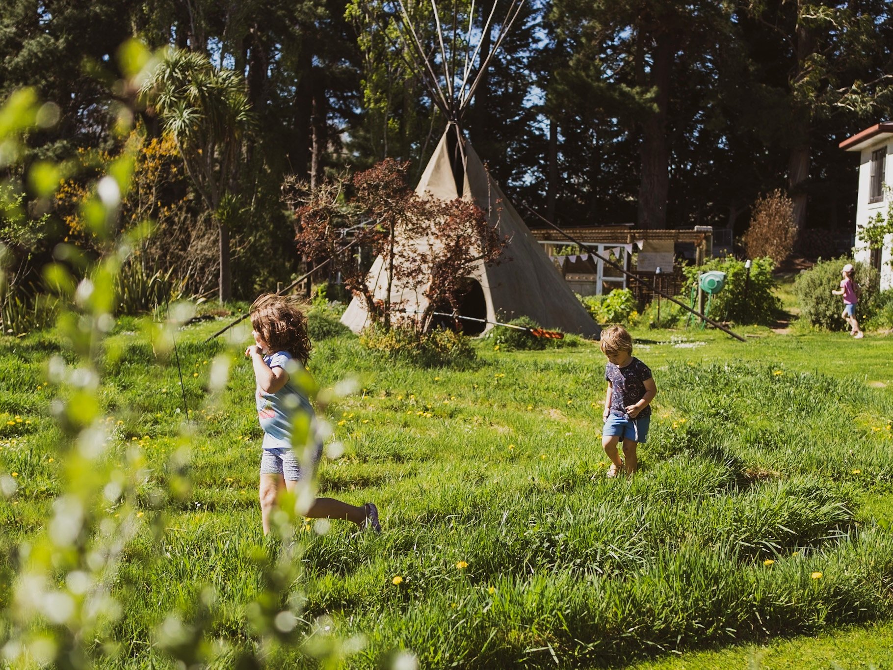 Creative Garden Development - Ongoing Community-Focused Project