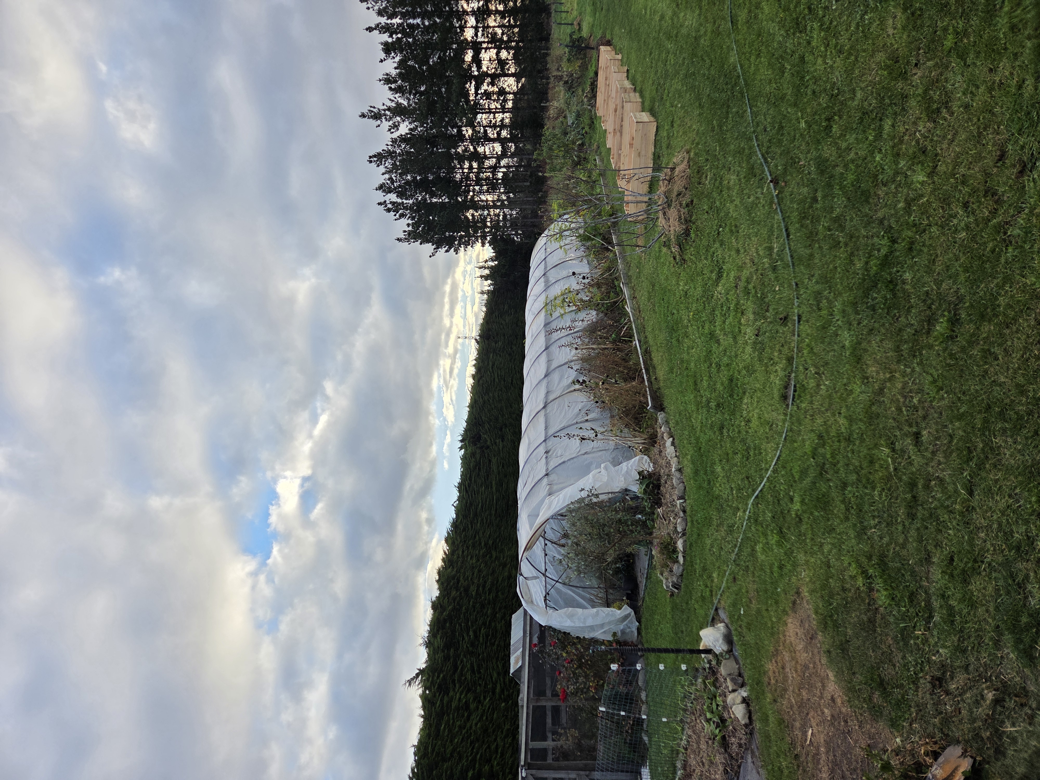 Quiet farm park up photo 1