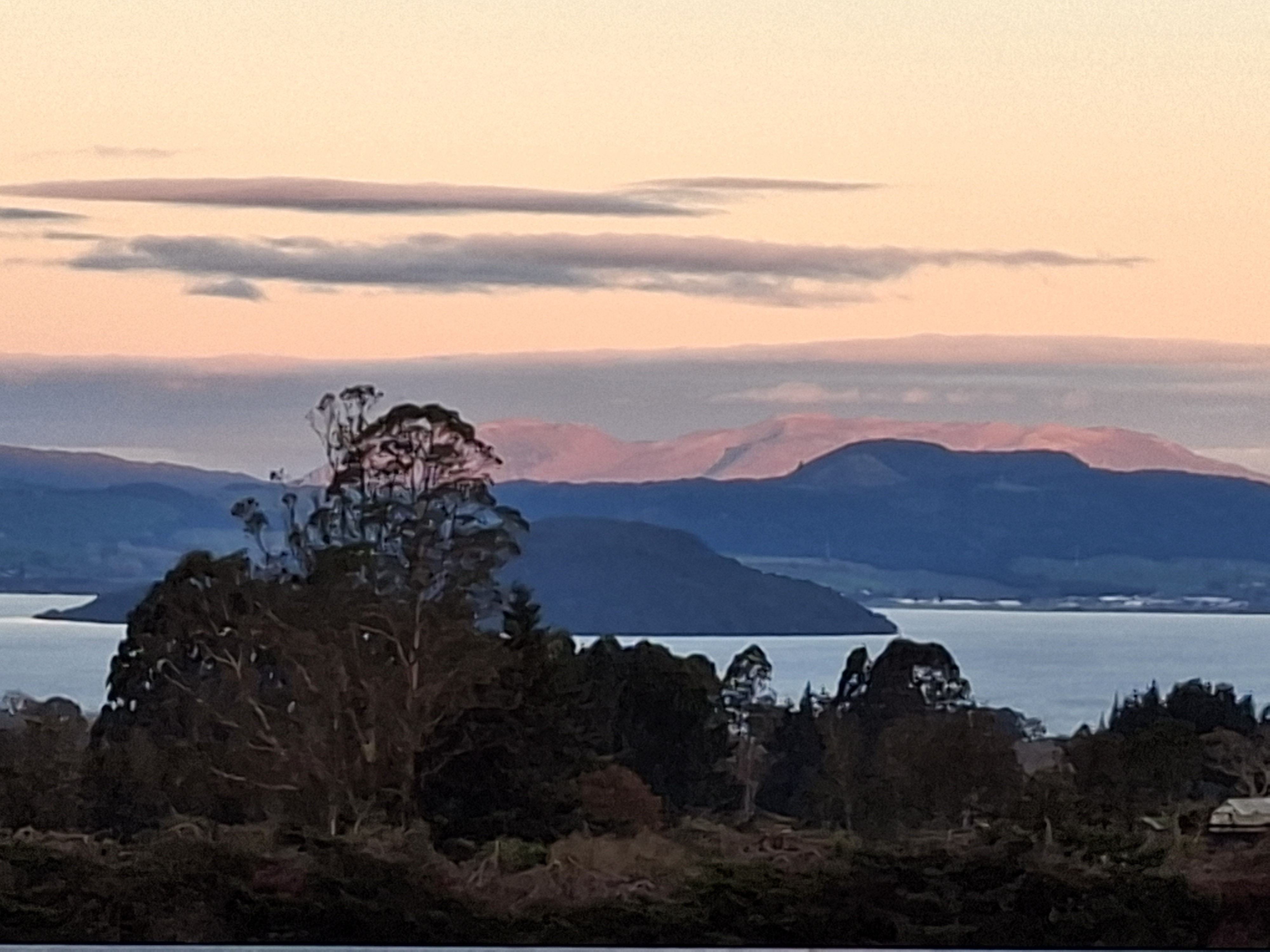 Beautiful quiet lifestyle block photo 1