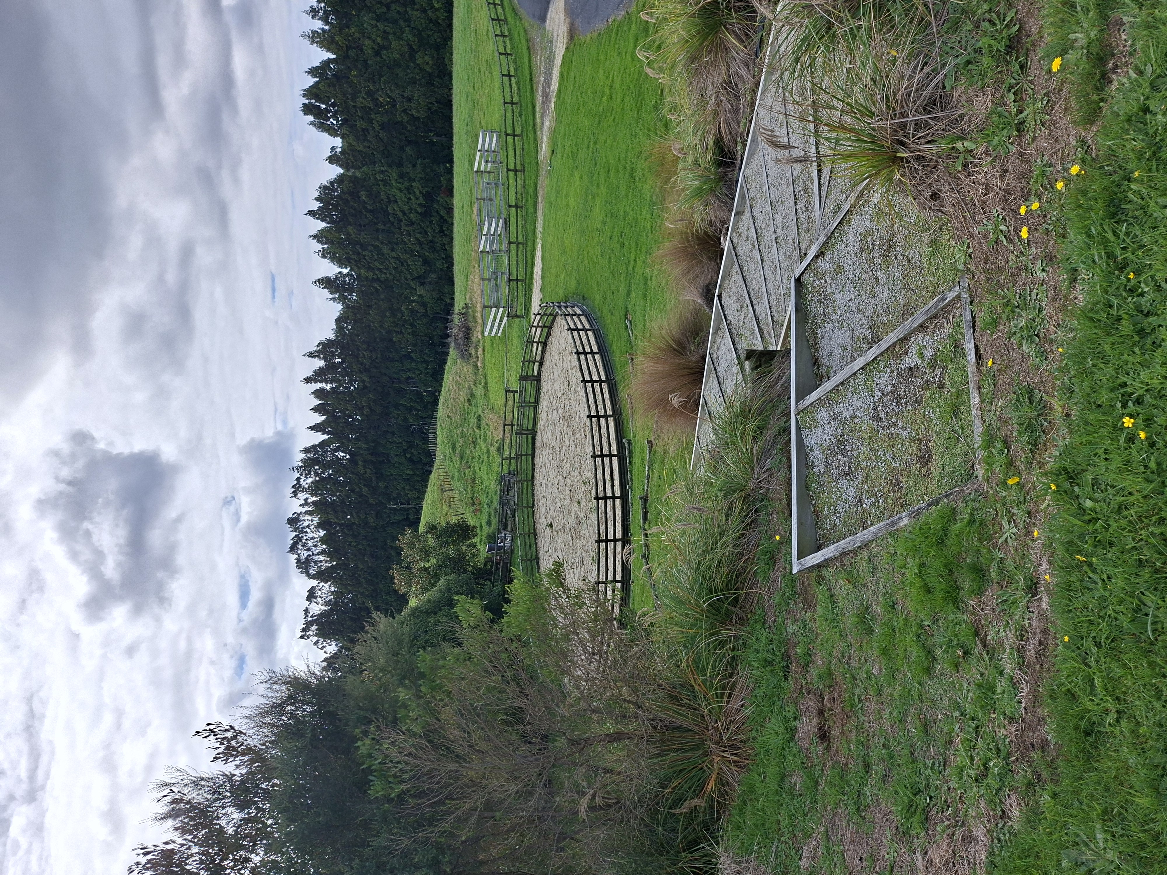 Beautiful quiet lifestyle block photo 4