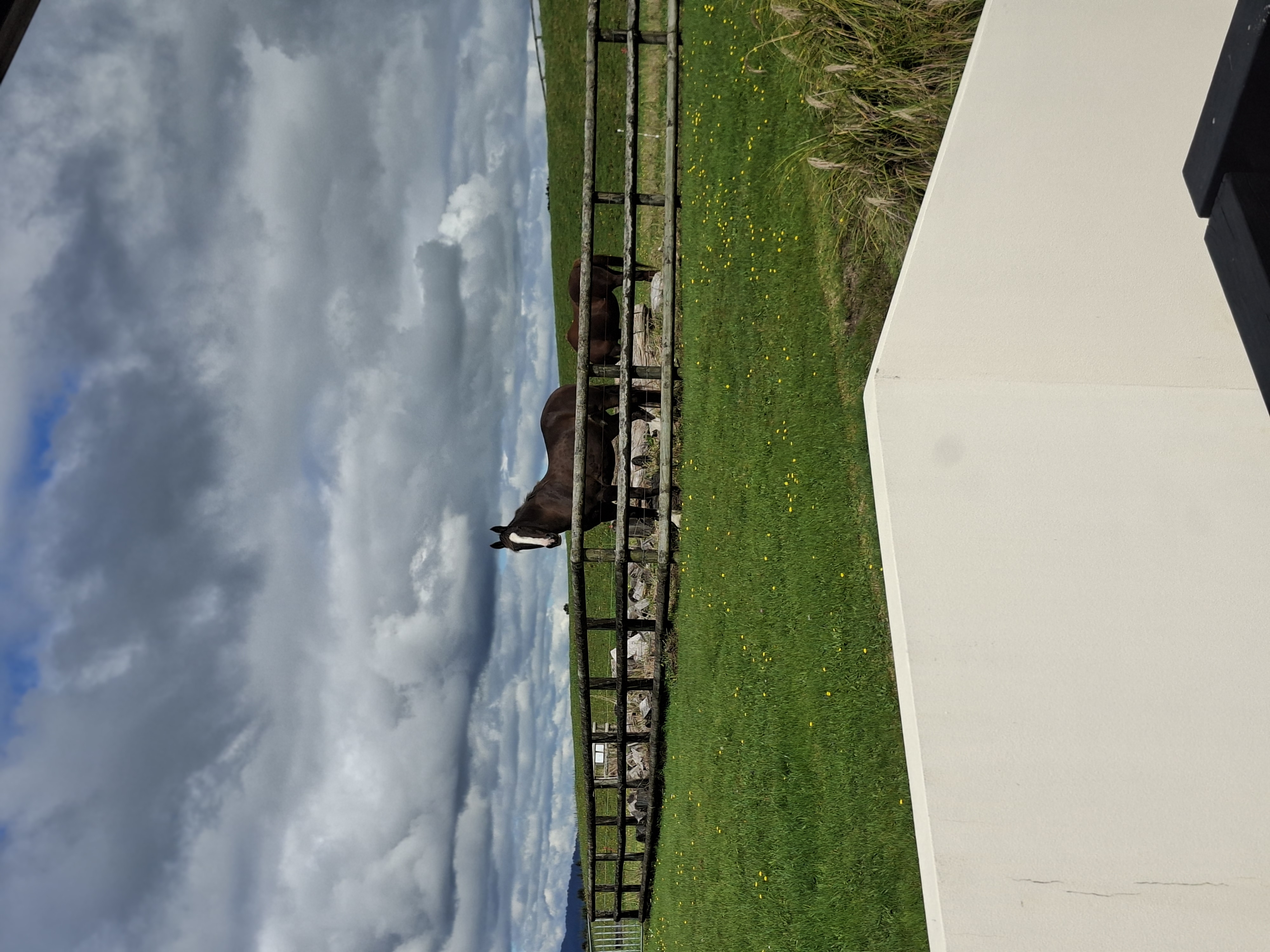 Beautiful quiet lifestyle block photo 5