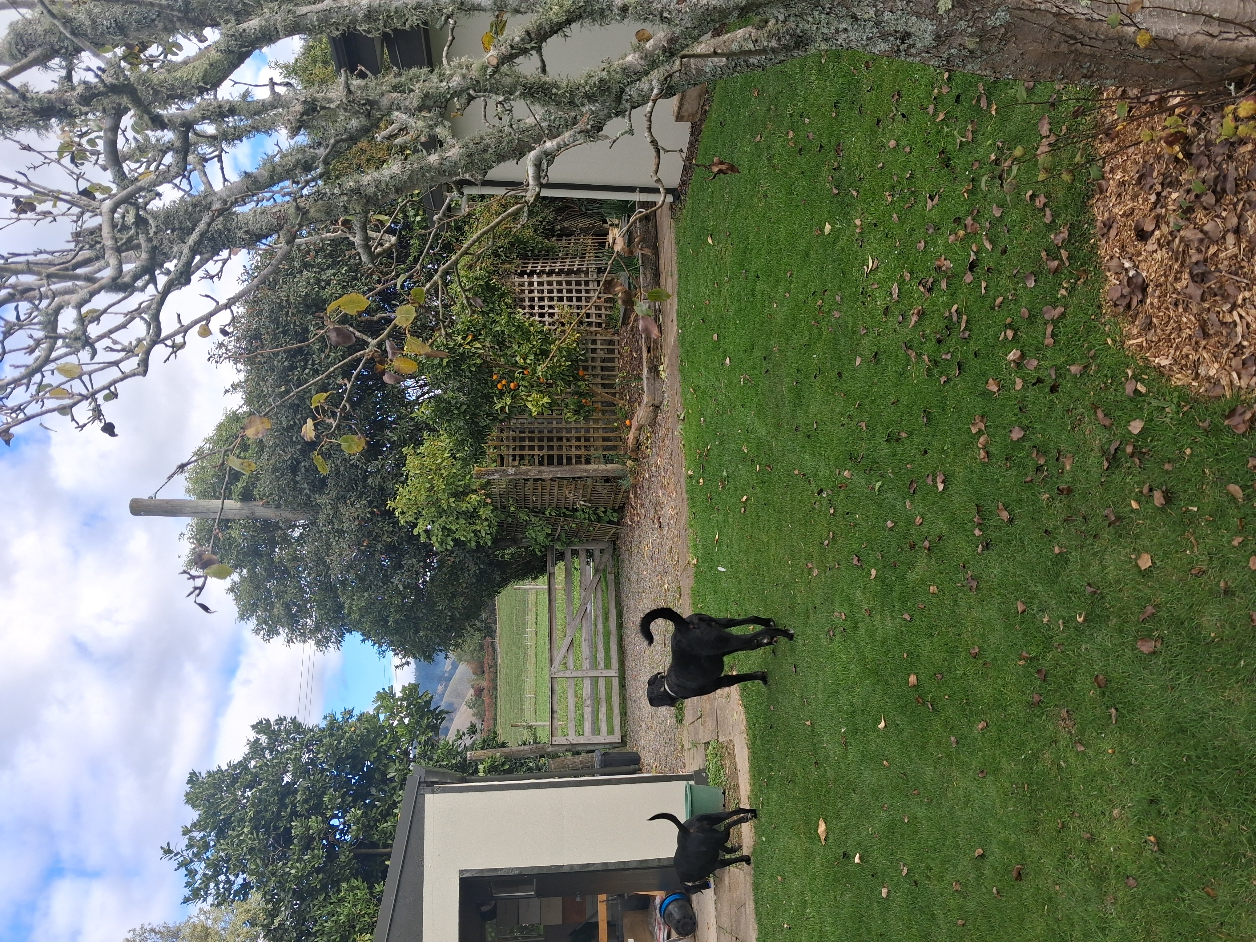 Safe, quiet parking spot in Te Horo photo 1
