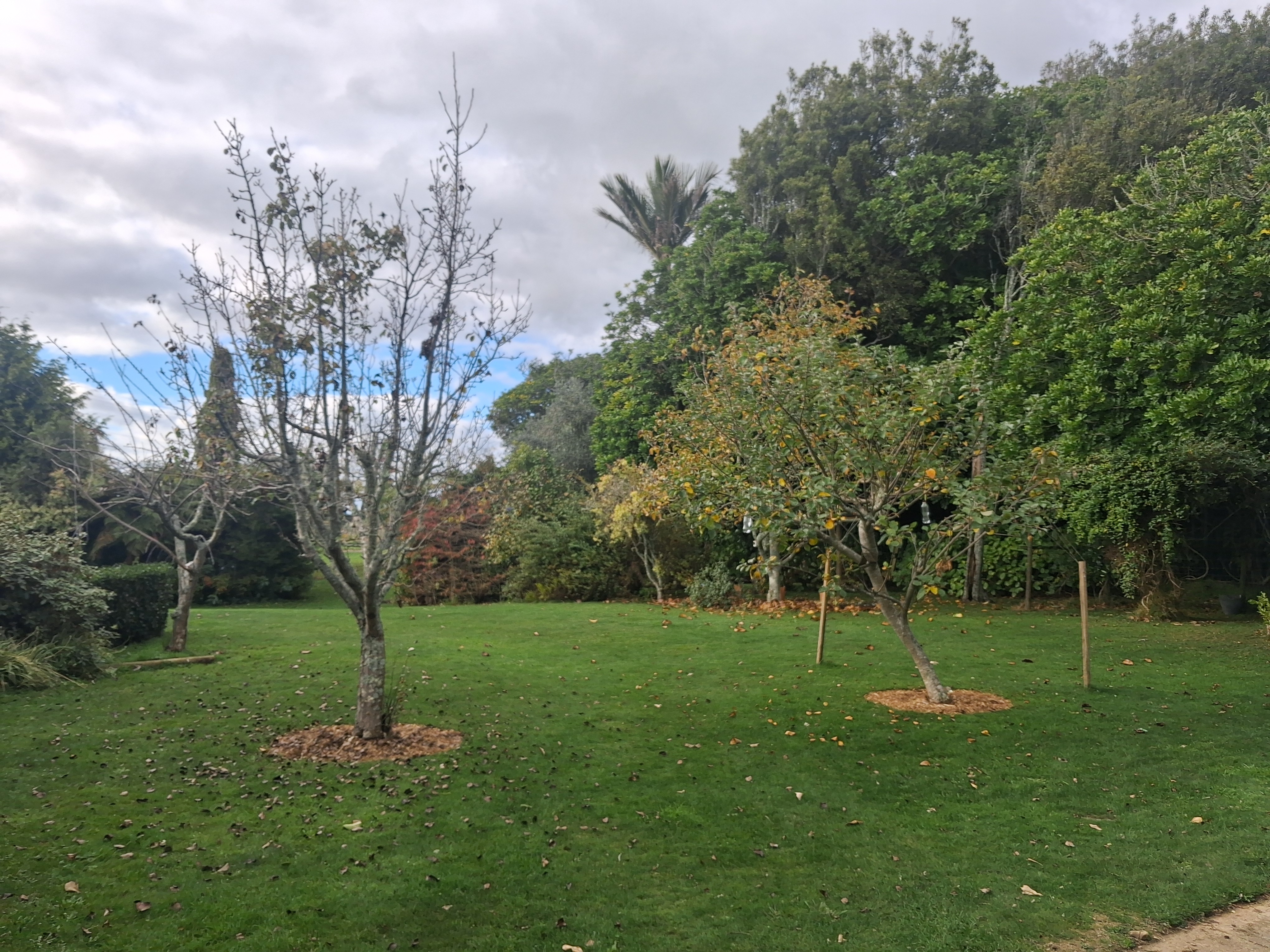 Safe, quiet parking spot in Te Horo photo 2