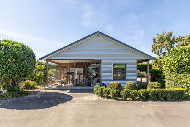 Grassmere Orchard & Cat Resort photo 1