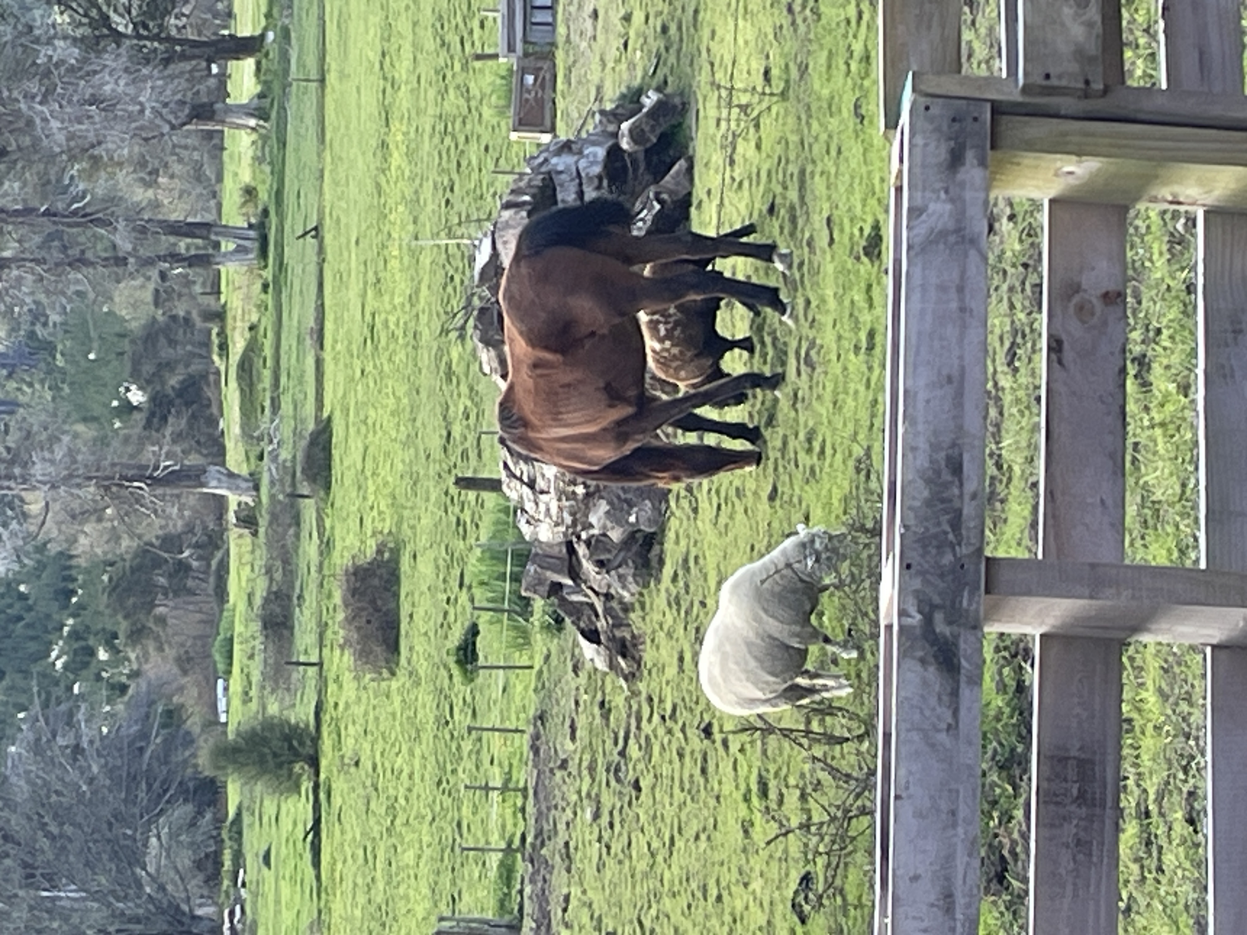 Nature Farm photo 4