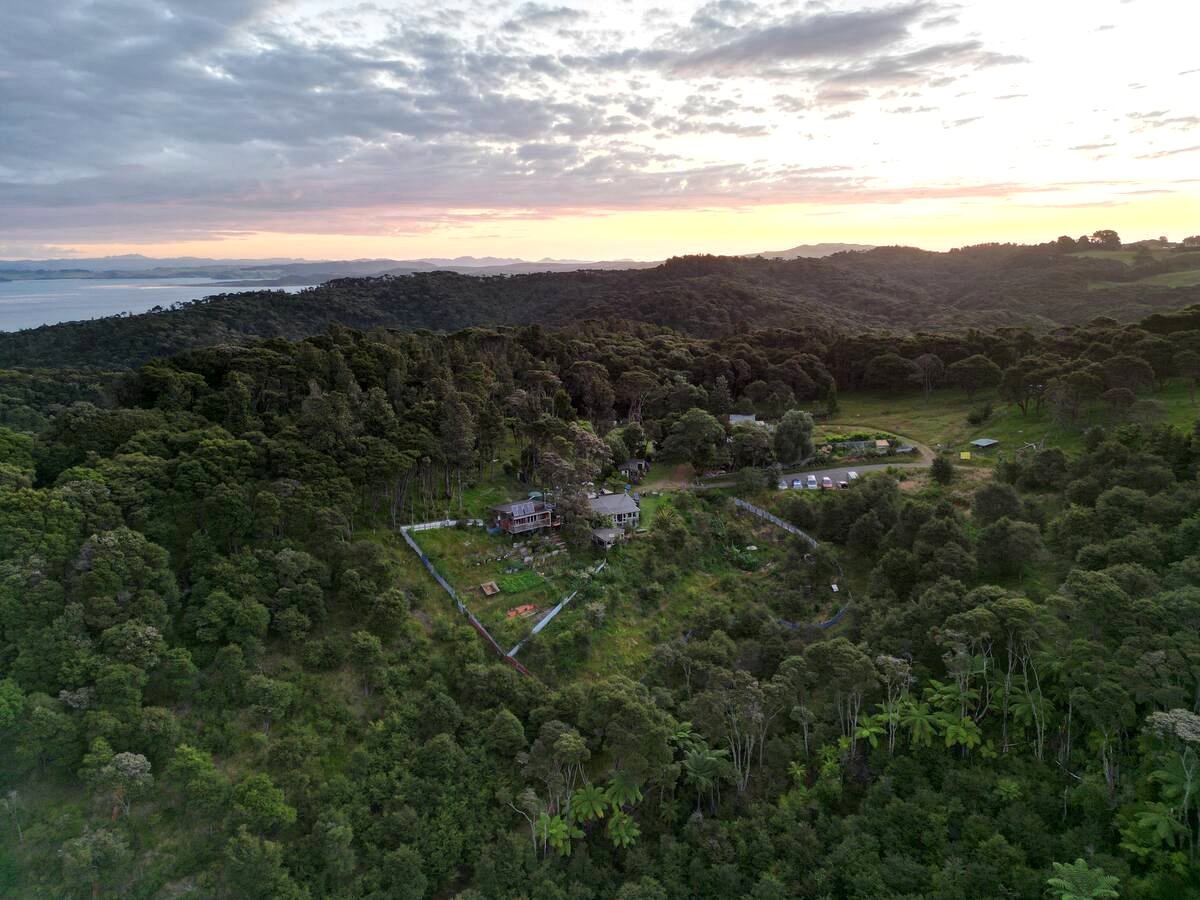 Hakea photo 1