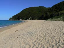 Anapai Bay campsite, campsite in Tasman