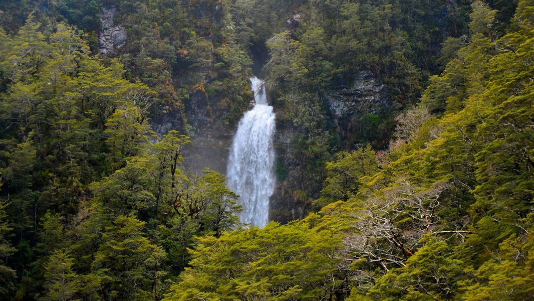 Arthur’s Pass Walking Track