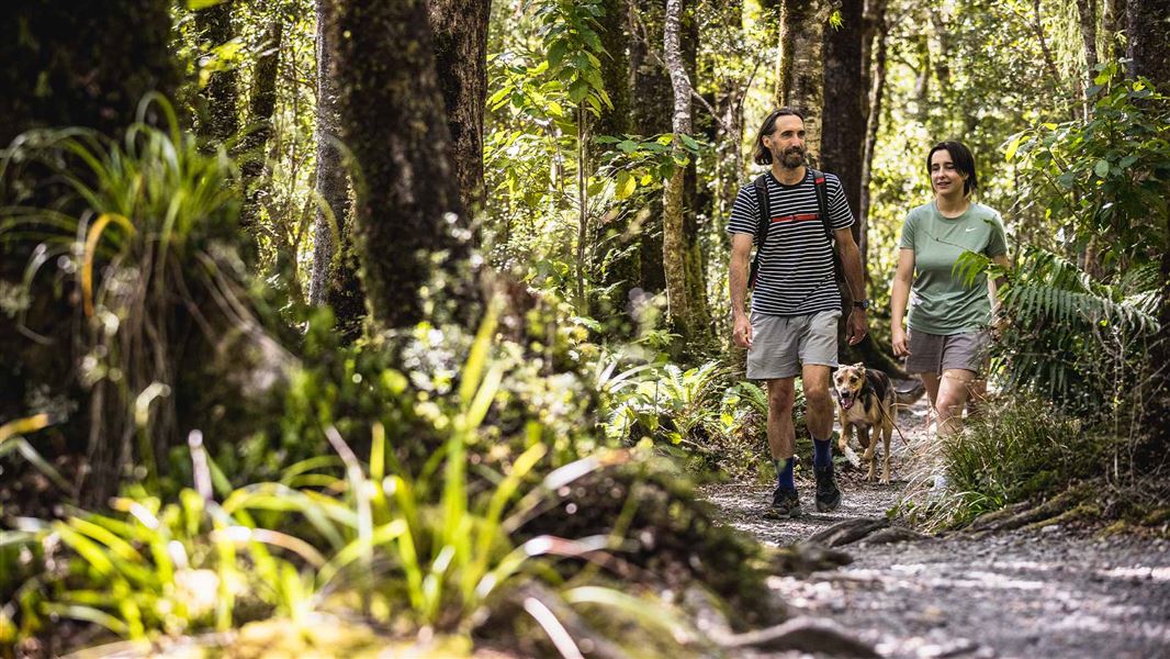 Atiwhakatu Track