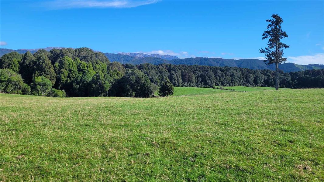 Balls Clearing Walks, walk in Hawke's Bay