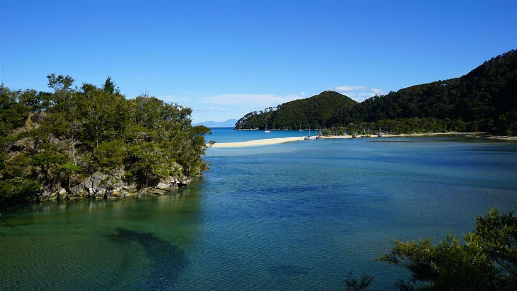 Bark Bay campsite, campsite in Tasman