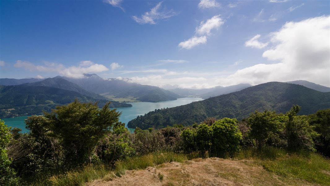 Bay of Many Coves Campsite, campsite in Marlborough