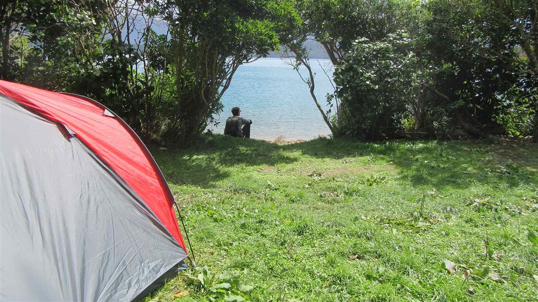 Blumine Island/Ōruawairua campsite, campsite in Marlborough