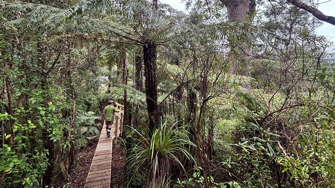 Booms Tramping Track