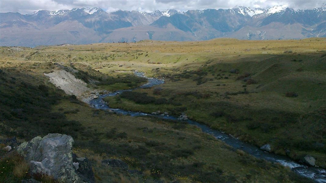 Braemar Road to Landslip Creek, walk in Canterbury