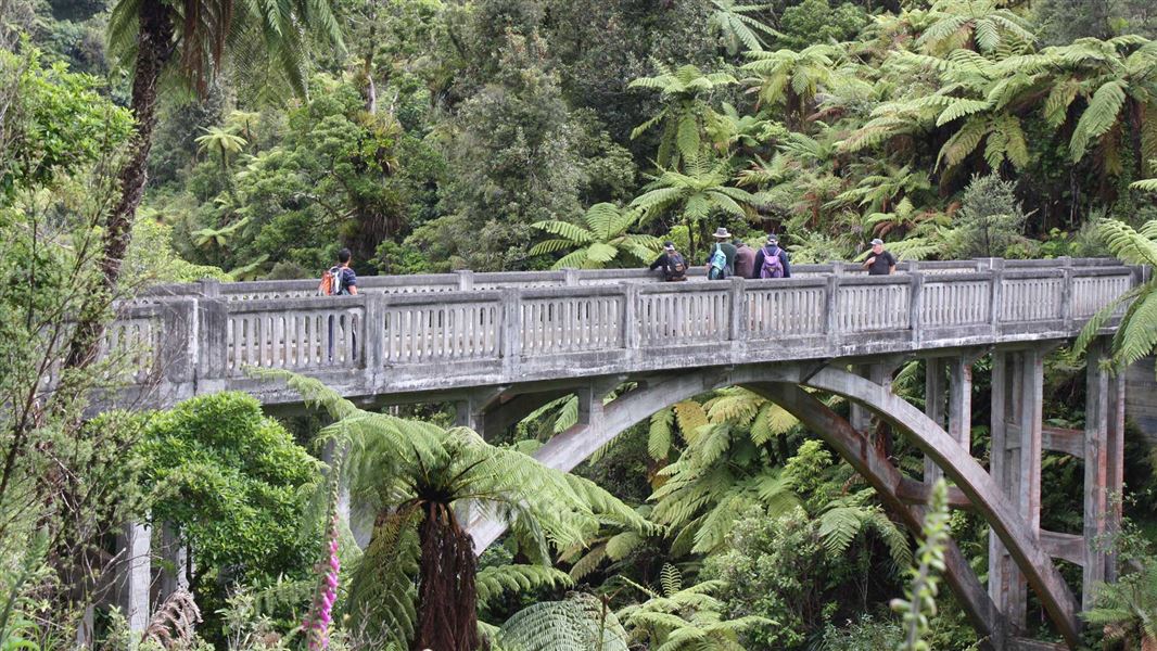 Bridge to Nowhere Walk, walk in Manawatū-Whanganui