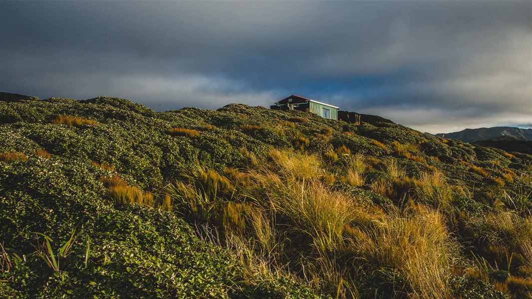 Burn Hut Track