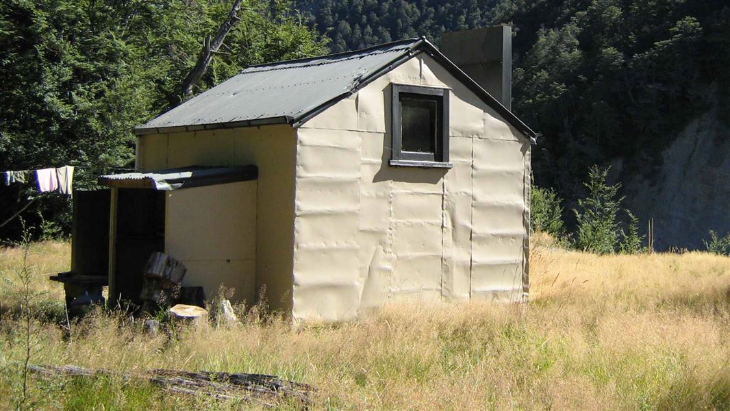 Bush Hut, hut in Otago