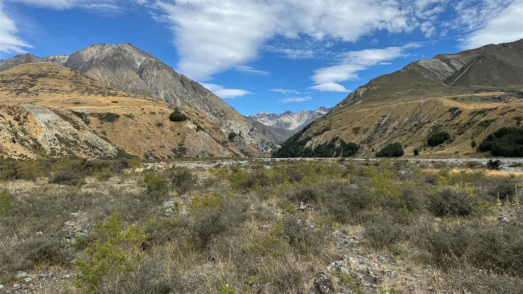 Bush Stream and Camp Stream tracks, walk in Canterbury