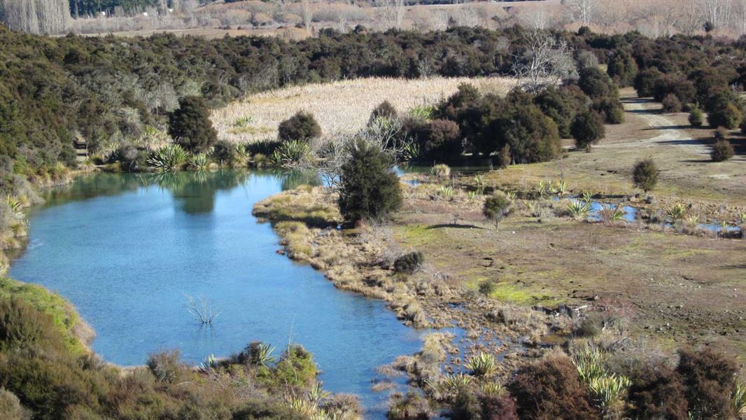 Butterfields Wetland Walk